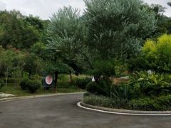 园中小路-神光山国家森林公园