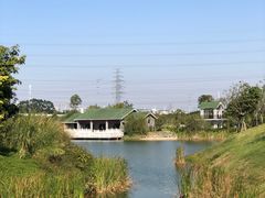 -王借岗森林公园