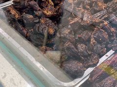 -都士牧人现烤牛肉干