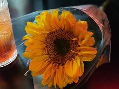 -SHARK鲨鱼餐吧(购物公园店)