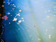 -天津东丽湖风景区