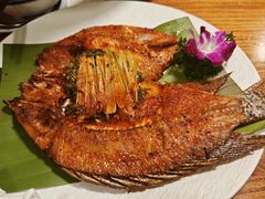 -紫滇源云南生态菜(丹凤街店)