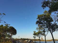 -春花秋色城市公园