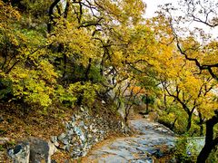 -北京鹫峰国家森林公园