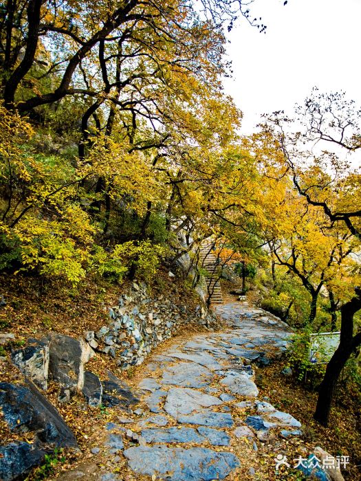 北京鹫峰国家森林公园图片