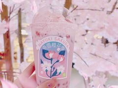 -奈雪的茶(正弘城PRO+店)