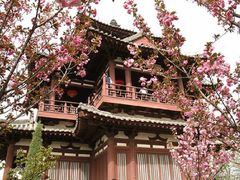 -西安青龙寺遗址景区