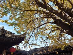 -惠山古镇·寄畅园