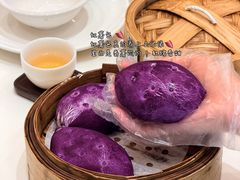 -聚福山莊·寻味顺德(北滘店)