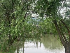 -长兴太湖图影湿地文化园