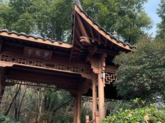 -杭州半山国家森林公园