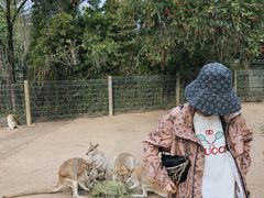 -费瑟代尔野生动物园