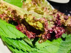 -盛江山自助料理(奥莱锦辉购物广场店)