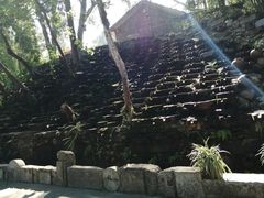 -美丽南方·老木棉匠园·团建烧烤·烤全羊