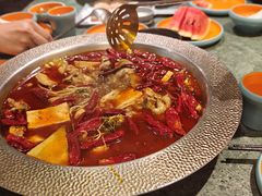 -麻田会 ·鲜活现烹·牛蛙火锅(珠江新城维家思广场店)