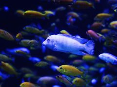 -成都浩海立方海洋公园