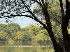 -长兴太湖图影湿地文化园