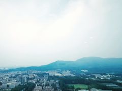 -南京维景国际大酒店(南京博物院店)