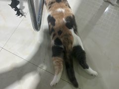 -万达广场(南宁青秀店)