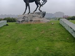 -洋湖国家湿地公园