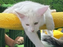 -人民广场-地下停车场