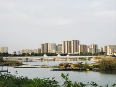 -贡湖湾湿地公园