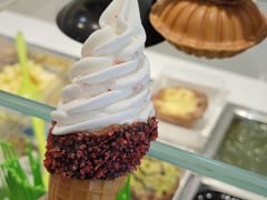 -Salud撒露欧洲冻酸奶(蓝色港湾店)