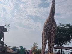 -西霞口神雕山野生动物世界