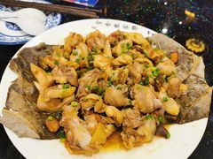 -丰食农家乐
