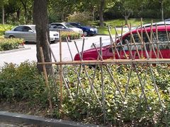 -新江湾城公园