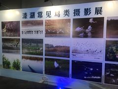 -溱湖国家湿地公园