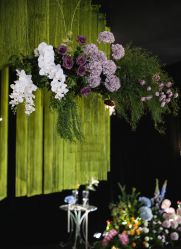 -明典婚礼策划·婚车租赁·婚纱摄影