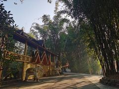 -云南勐巴娜西珍奇园