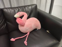 -泽璞堂美发沙龙