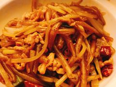 -丁老爷子苏香圆