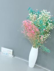 点击看大图 -和良形象