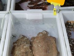 -八方海味餐厅