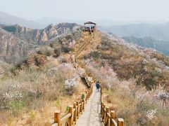 -大岭沟猕猴桃谷风景区