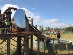 -上海长兴岛郊野公园