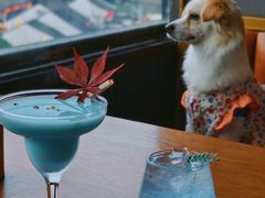 -顽啤熊·酒客酒馆(苏城夜景必选店)