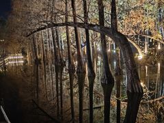 -金山植物公园