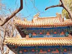 -北京国子监胡同