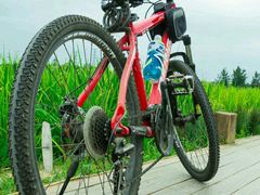 -三圣花乡旅游区