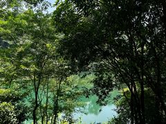 -佛山市三水区大南山森林公园