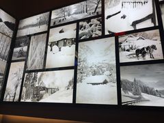 -山河屯铁锅炖(哈西站店)