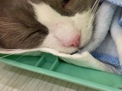 -美联众合24小时·皮肤科·外科·全科诊疗中心(华苑分院)