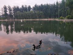 -中家鑫园温泉酒店鑫悦汤泉