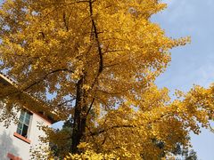 -万达影城(锦华万达广场IMAX店)