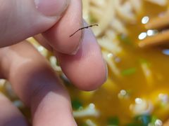 -肚子铺羊蝎子火锅