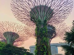 -无招牌海鲜餐厅(怡丰城店)